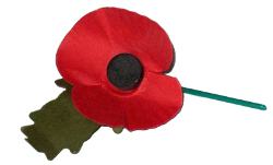 Image of remembrance poppy