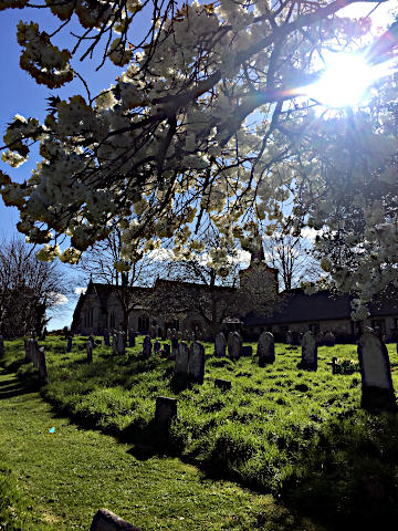 Photograph of the Beauty of Spring 2019 in the Haven Benefice - 1