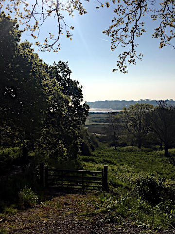 Photograph of the Beauty of Spring 2019 in the Haven Benefice - 2