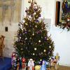 82 St Peter's - Christmas Tree 2016