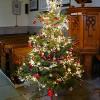 81 St Helen's - Christmas Tree 2016