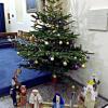 188 St Peter's - Christmas Tree 2018