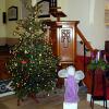 100 St Helen's - Christmas Tree 2017