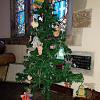 241 St Mary's - Oglander Chapel Christmas Tree 2019