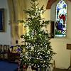 247 St Peter's - Christmas Tree 2019