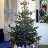 103 St Peter's - Christmas Tree 2017