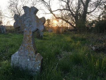 Photograph of the Beauty of Spring 2019 in the Haven Benefice - 6