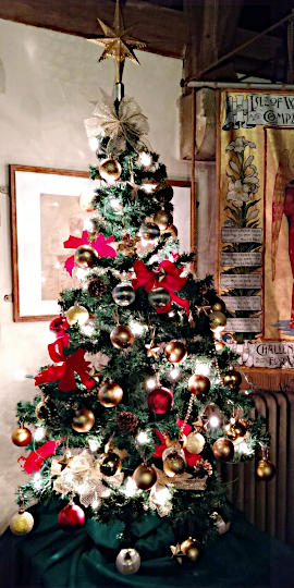 Photograph of St John's Christmas Tree 2024